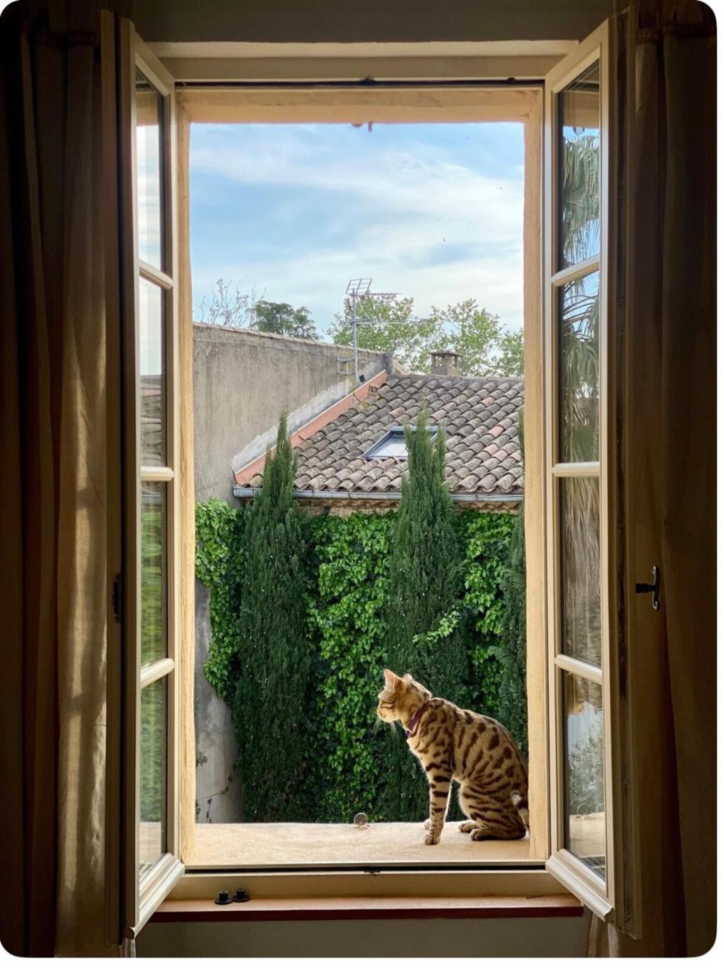 Le Figuier Lägenhet Beauvoisin  Exteriör bild
